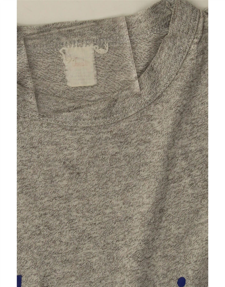 Champion Mens Graphic T-Shirt Top Large Grey Flecked