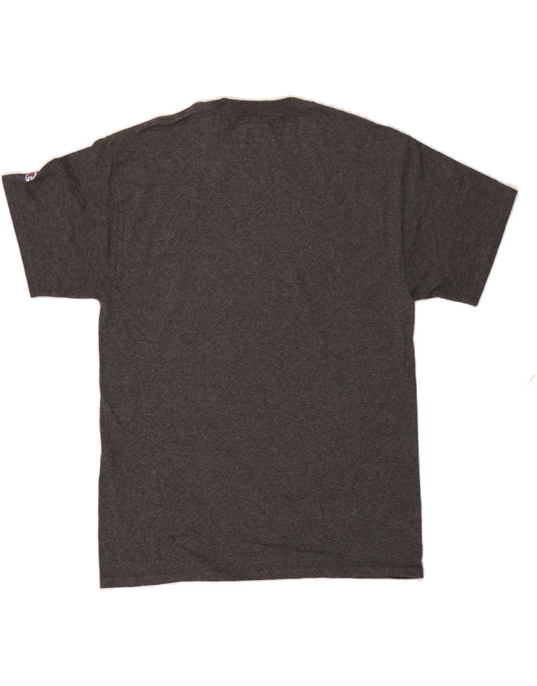 CHAMPION Mens Graphic T-Shirt Top Medium Grey Vintage Champion and Second-Hand Champion from Messina Hembry 