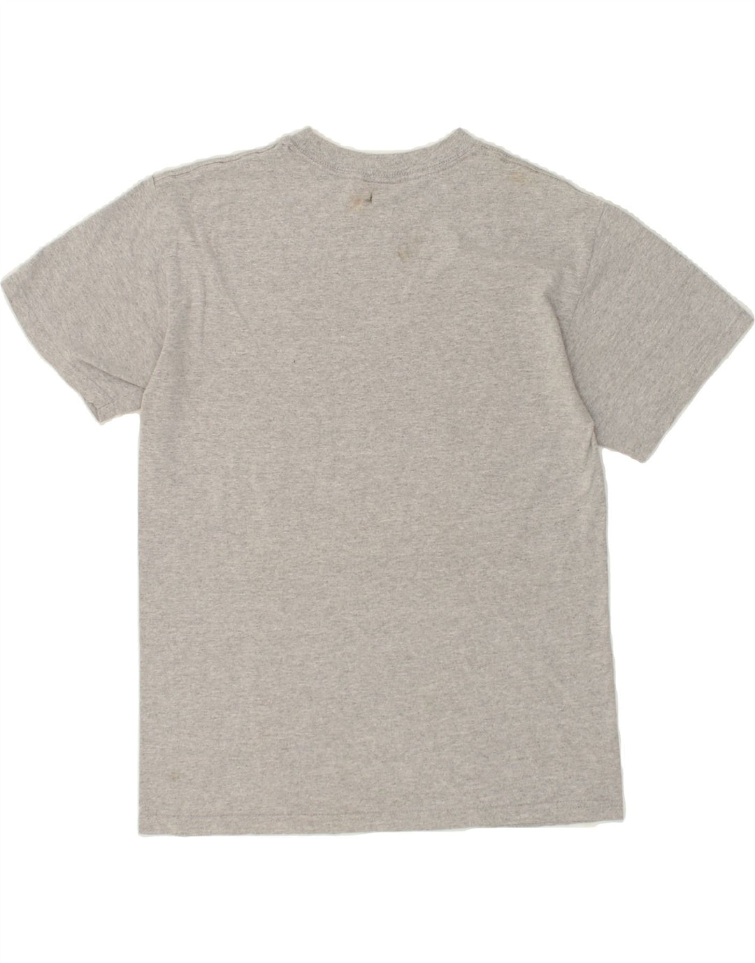 MAJESTIC Mens Graphic T-Shirt Top Medium Grey Cotton Vintage Majestic and Second-Hand Majestic from Messina Hembry 