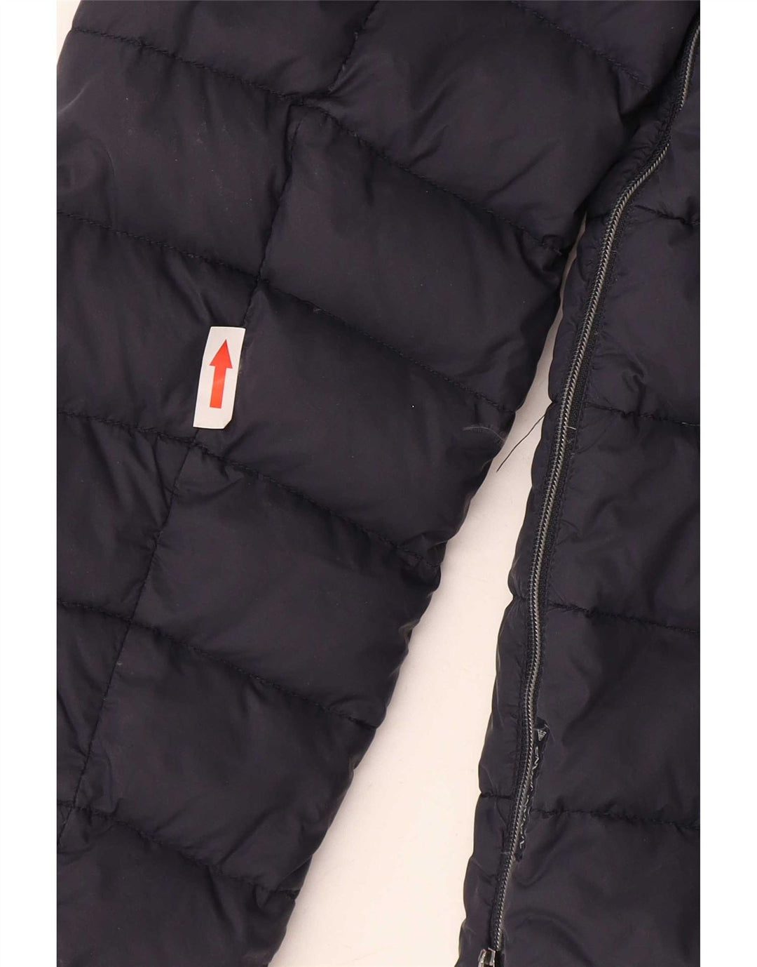 Armani Jeans Womens Padded Jacket IT 42 Medium Navy Blue