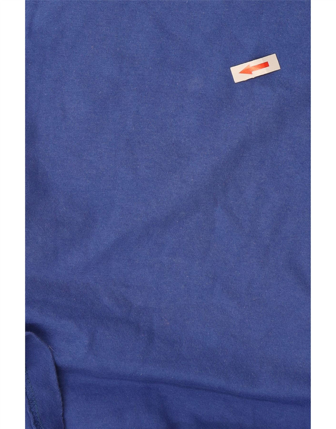 Champion Mens T-Shirt Top Large Blue