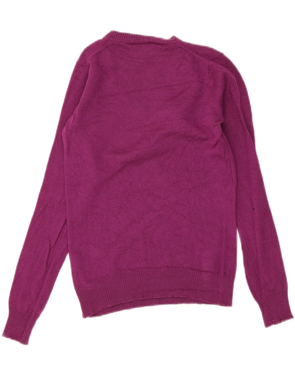 Lacoste Womens V-Neck Jumper Sweater Size 36 Small Purple Wool