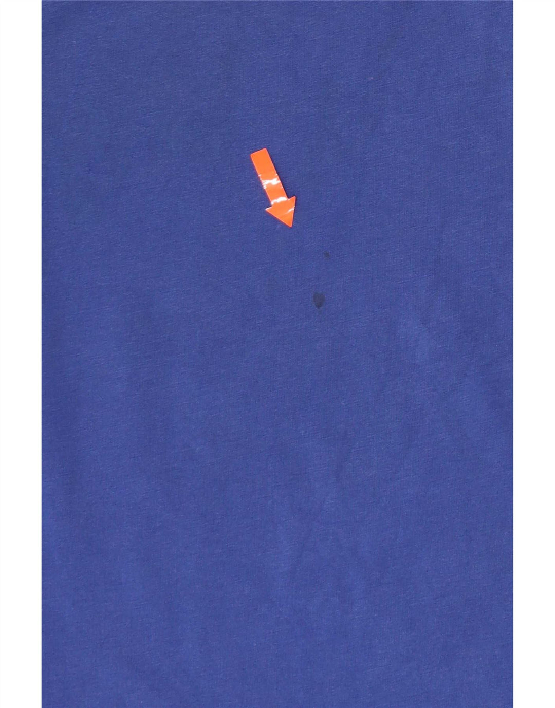 Champion Mens Graphic T-Shirt Top Medium Blue Cotton