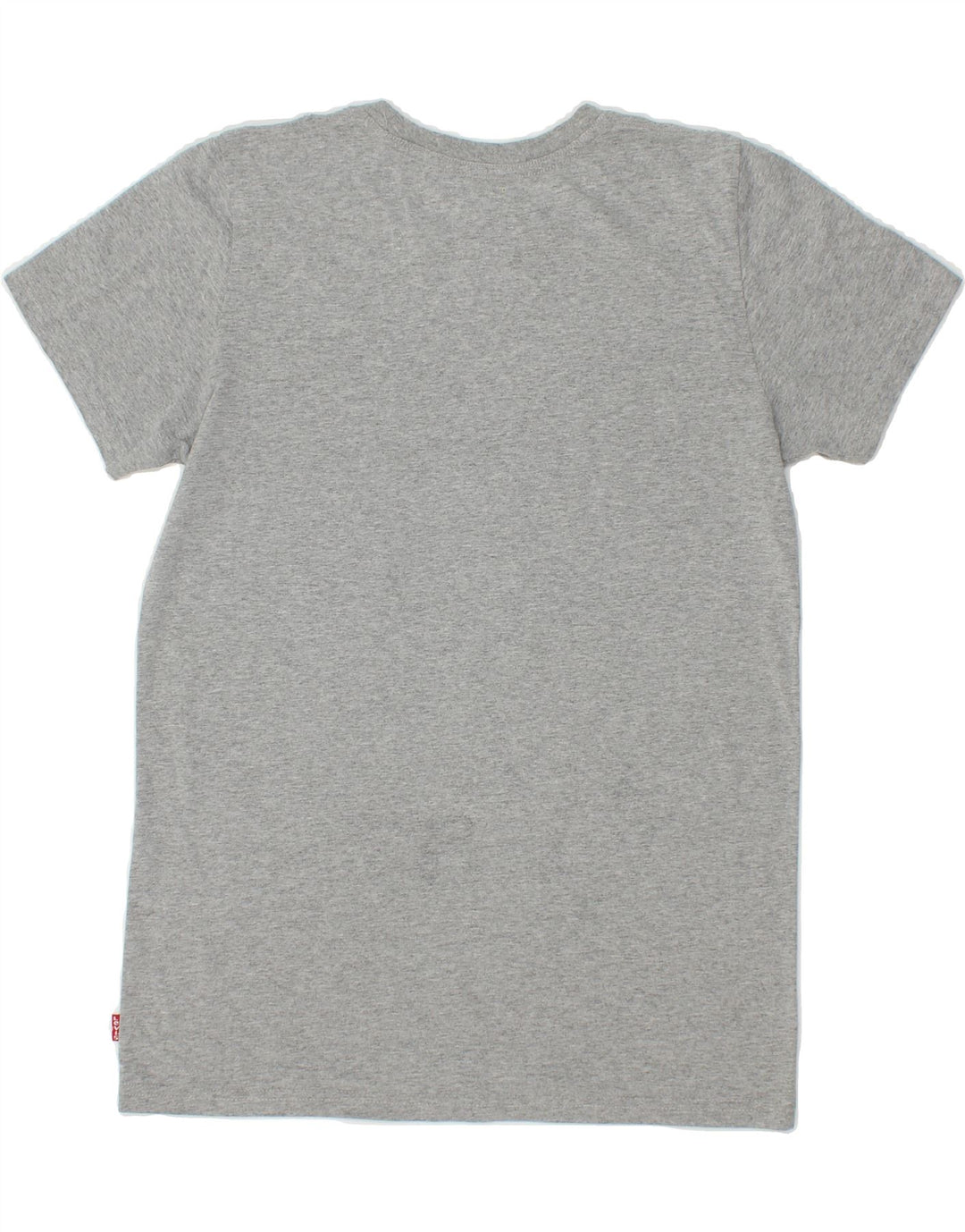 LEVI'S Boys Graphic T-Shirt Top 15-16 Years Grey Vintage Levi's and Second-Hand Levi's from Messina Hembry 