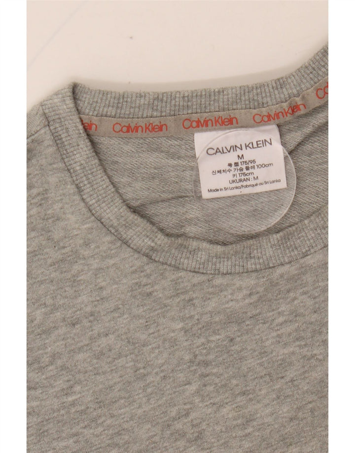 CALVIN KLEIN Mens Graphic Sweatshirt Jumper Medium Grey