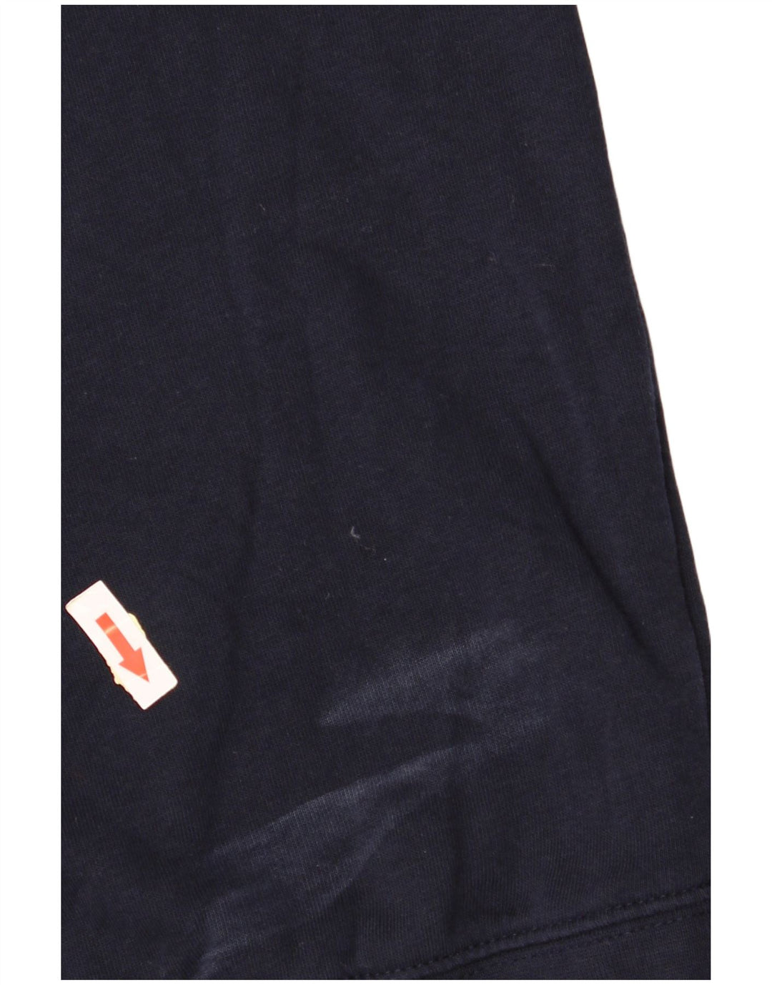 CHAMPION Mens Sweatshirt Jumper Large Navy Blue