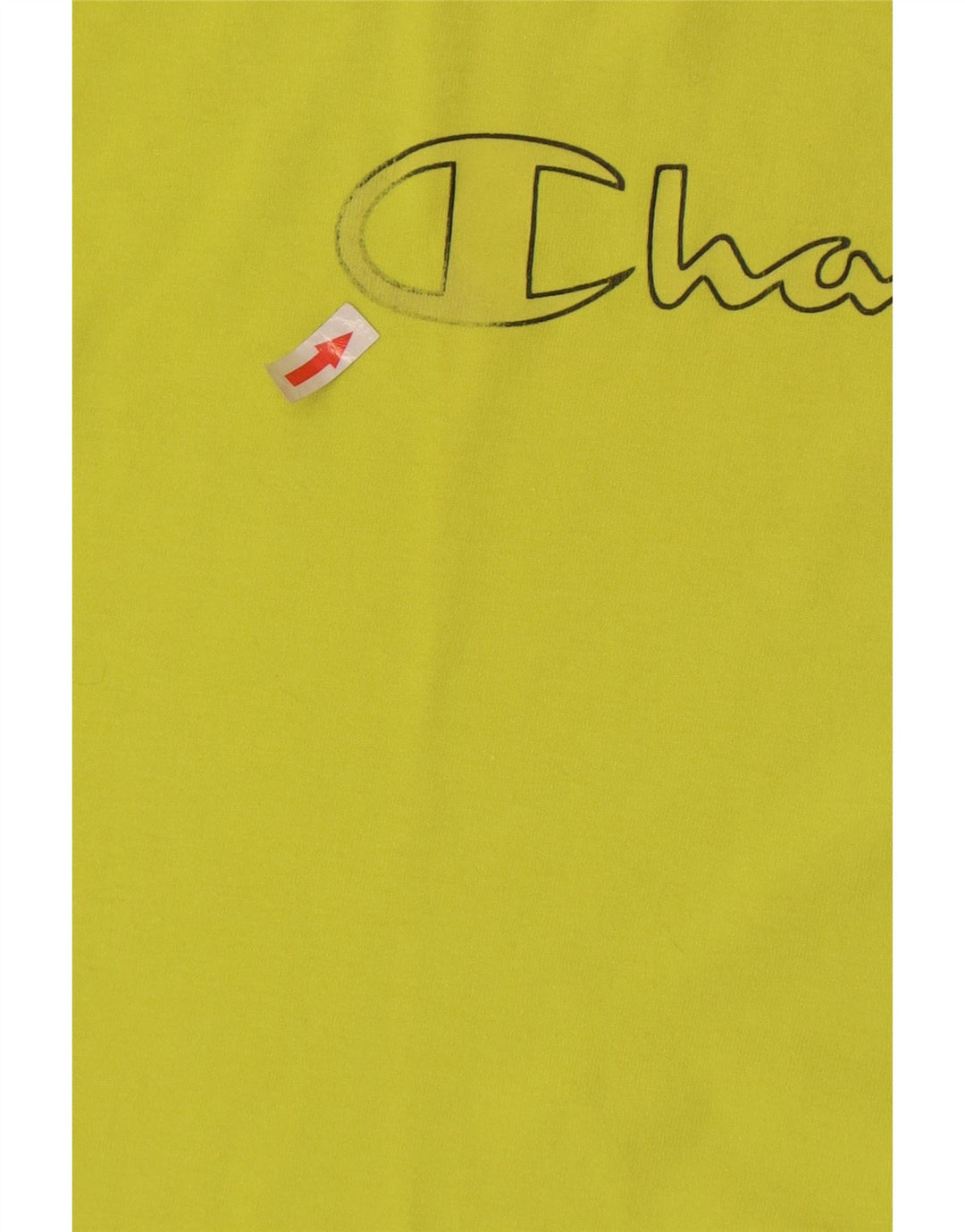 Champion Mens Graphic T-Shirt Top Medium Green Cotton