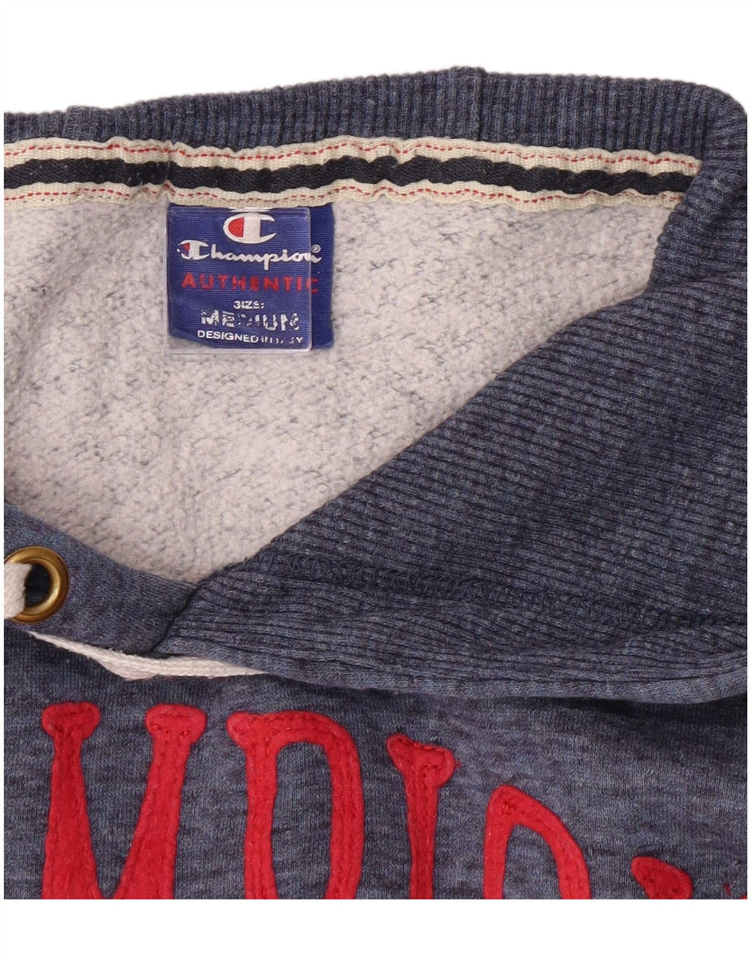 CHAMPION Mens Graphic Hoodie Jumper Medium Blue Flecked
