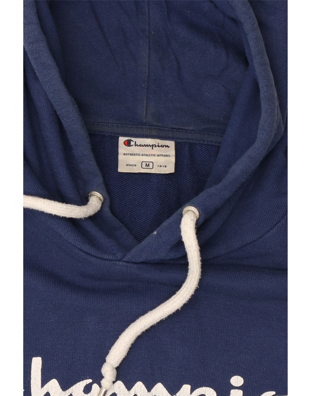 Champion Mens Graphic Hoodie Jumper Medium Navy Blue