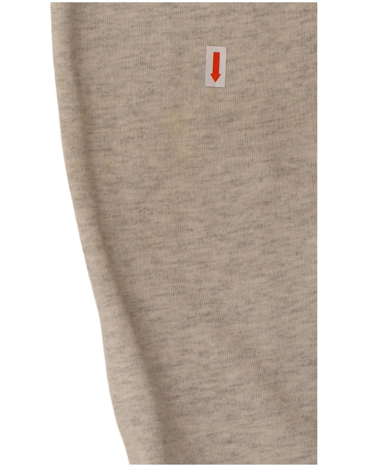 CHAMPION Mens Tracksuit Trousers Large  Grey Cotton