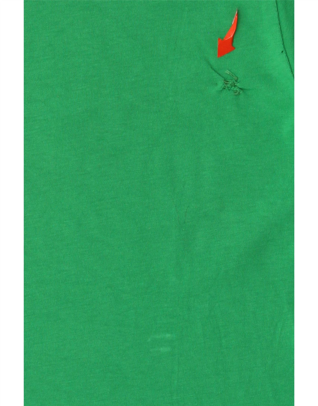 Champion Mens Graphic T-Shirt Top Medium Green Cotton