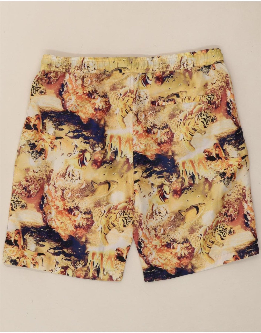 MOSSIMO Boys Swimming Shorts 15-16 Years  Multicoloured Animal Print Vintage Mossimo and Second-Hand Mossimo from Messina Hembry 