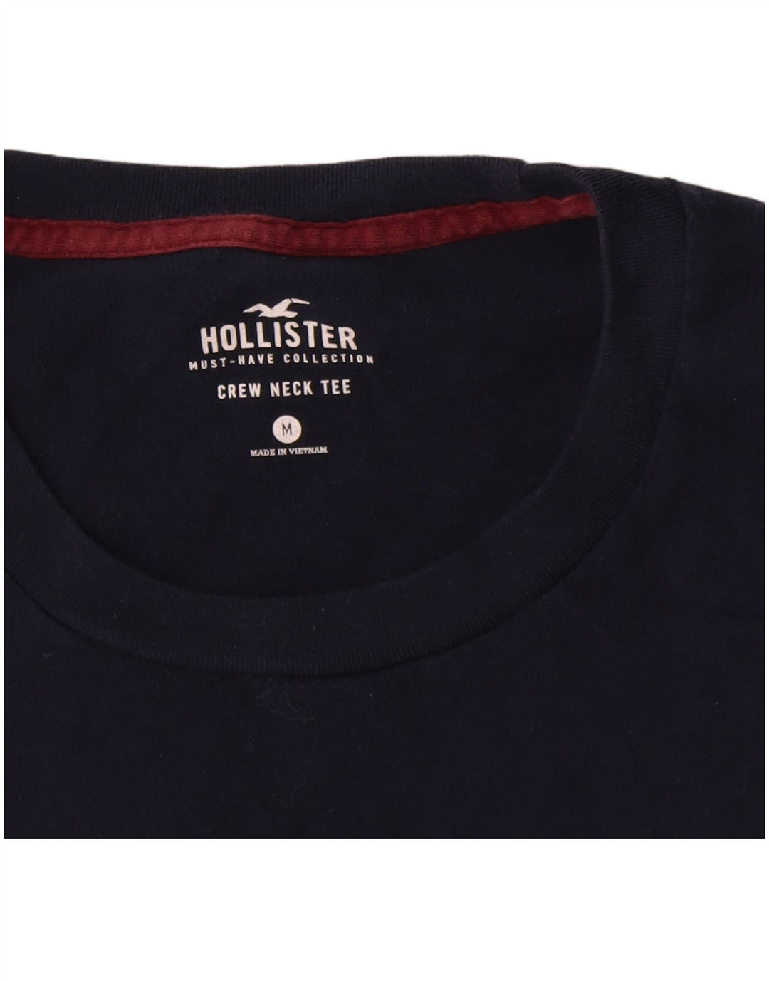 Hollister Mens T-Shirt Top Medium Navy Blue Cotton