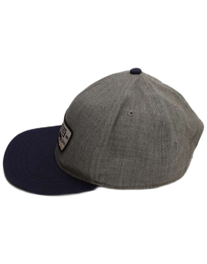 Vans Mens Graphic Baseball Cap One Size Grey