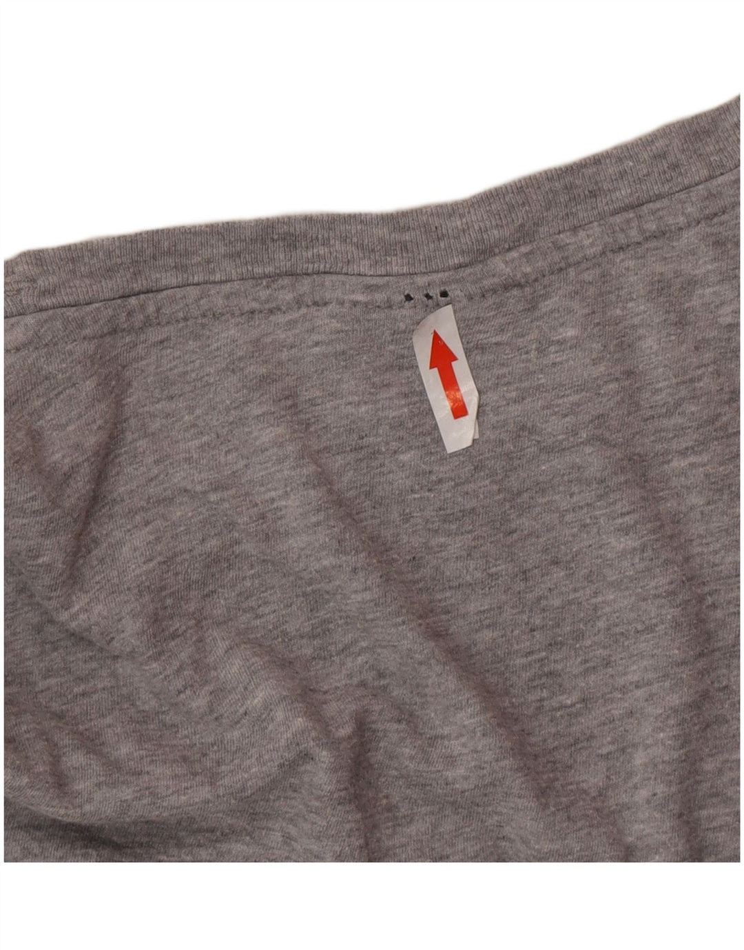 Champion Mens Rochester Graphic T-Shirt Top Large Grey Cotton