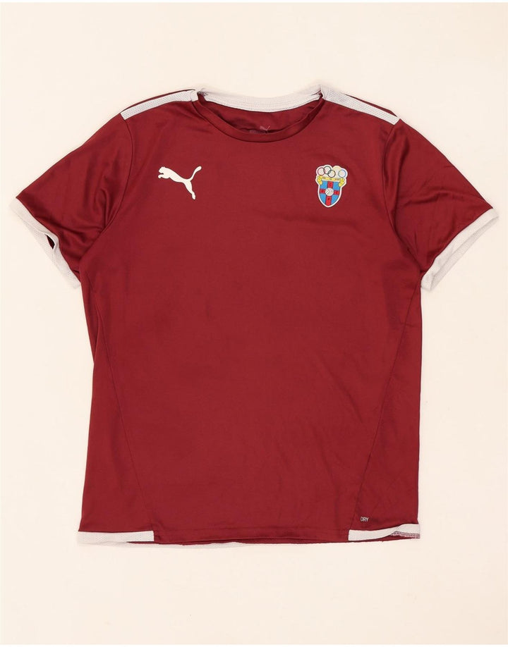 Puma Boys Graphic T-Shirt Top 13-14 Years Maroon