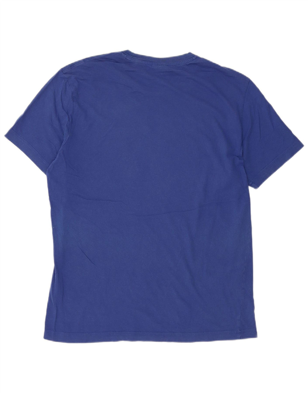 Champion Mens Graphic T-Shirt Top Medium Blue Cotton