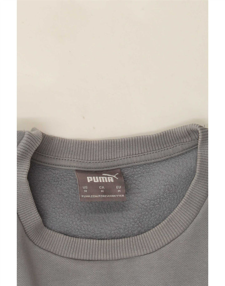 Puma Mens Graphic Sweatshirt Jumper Medium Blue Colourblock