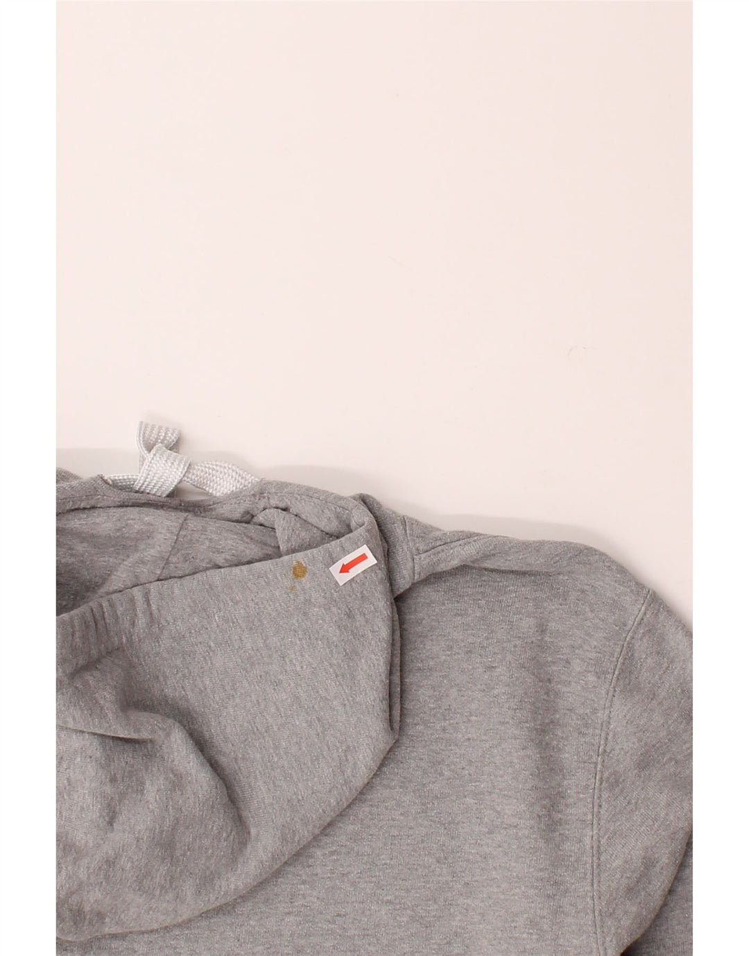 CHAMPION Mens Graphic Hoodie Jumper Medium Grey Cotton Vintage Champion and Second-Hand Champion from Messina Hembry 