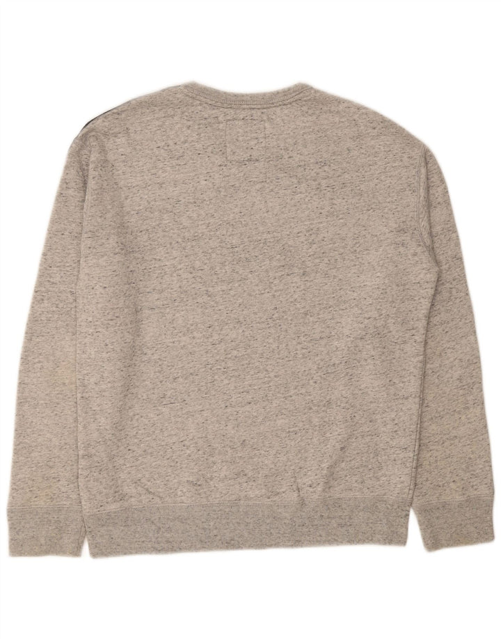 HOLLISTER Mens Graphic Sweatshirt Jumper Medium Grey Flecked Cotton
