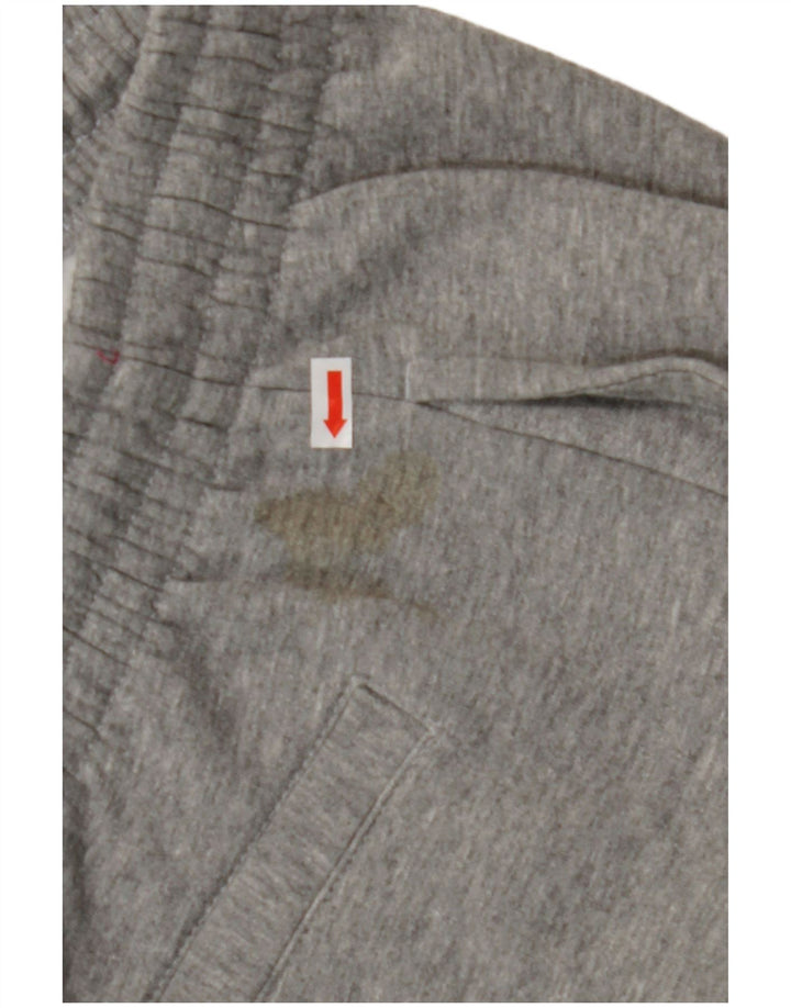 ELLESSE Mens Tracksuit Trousers Joggers Large Grey Cotton